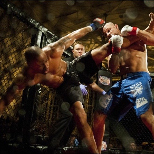 MMA / Boxe